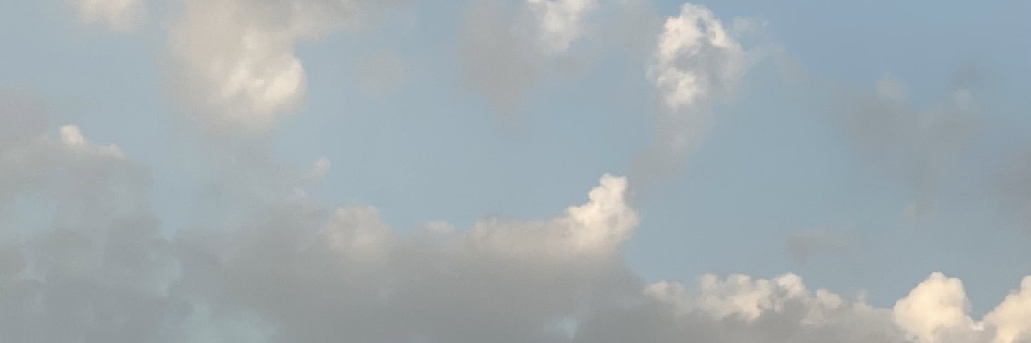 SkyeHaven2000's profile banner image