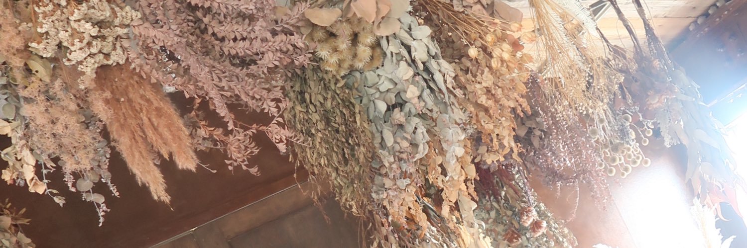 watashi_ot's profile banner image