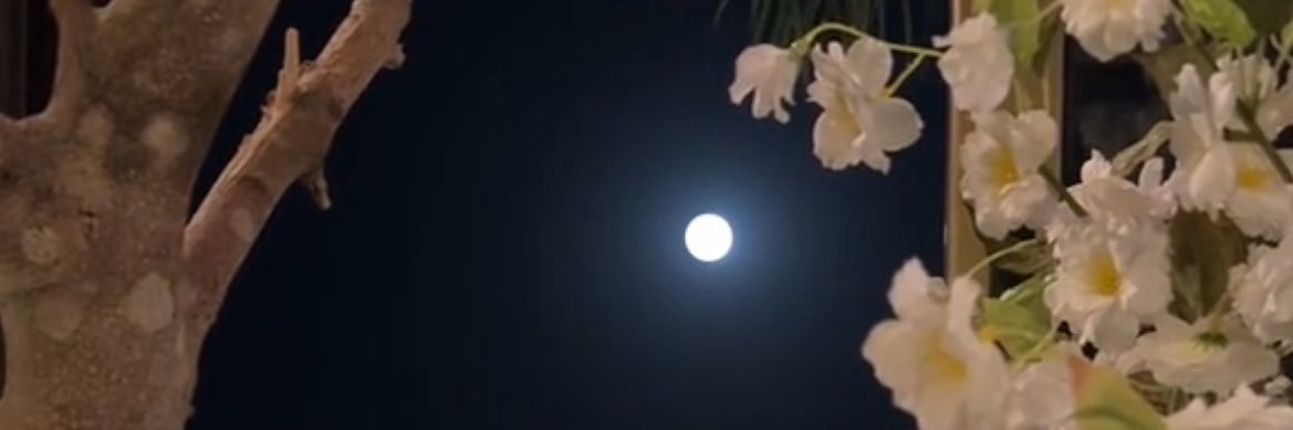 المها 🕊️🇸🇦 banner