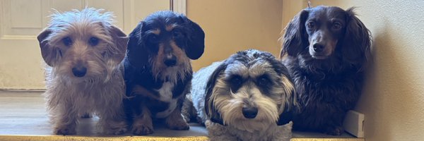 PaulWSeville Profile Banner