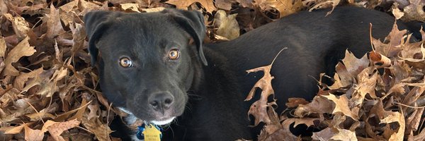 tomcasper Profile Banner