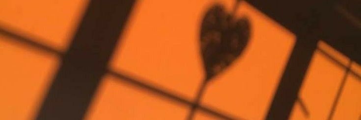 raulorihara's profile banner image