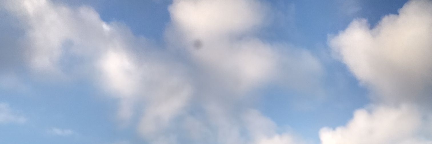 JUDPAGLIA's profile banner image