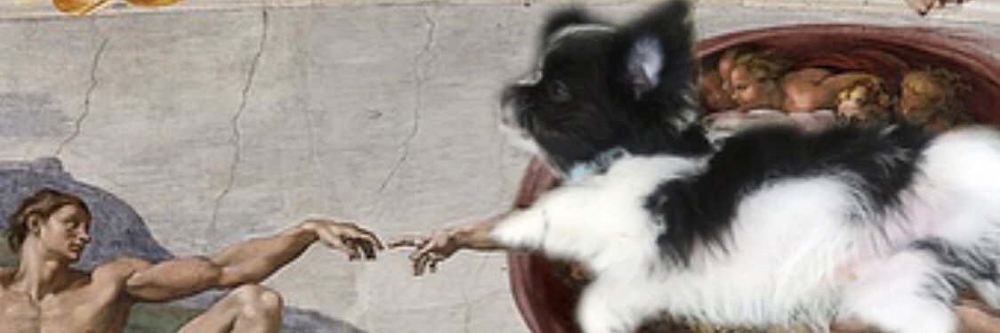 phamtastique's profile banner image