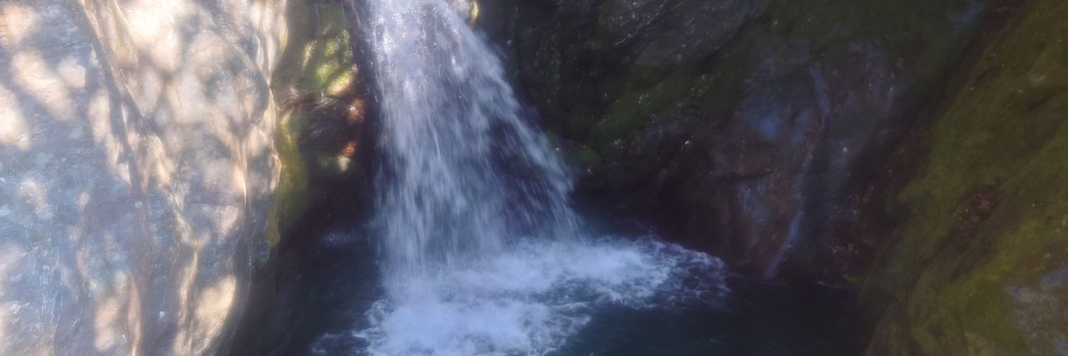 めんたい banner