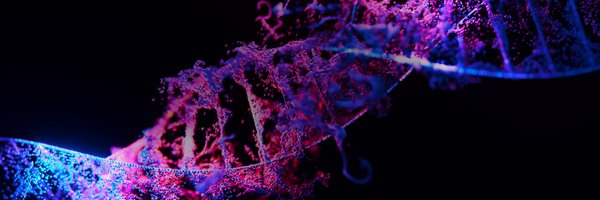 JanineSengstack Profile Banner