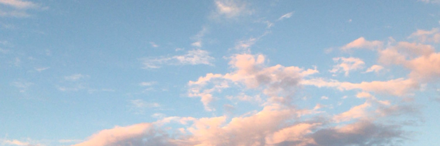 l1ndds's profile banner image