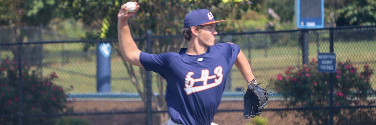 Davis Johnson banner