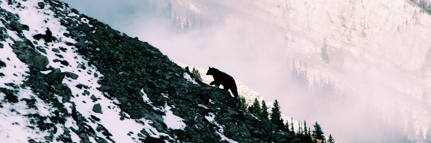 bwilz's profile banner image