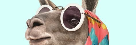 mcaroolinda's profile banner image