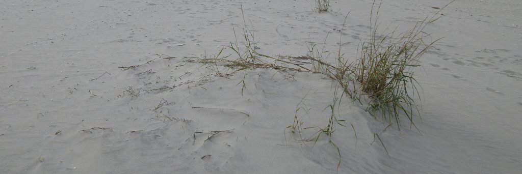 @silverseams@artisan.chat banner