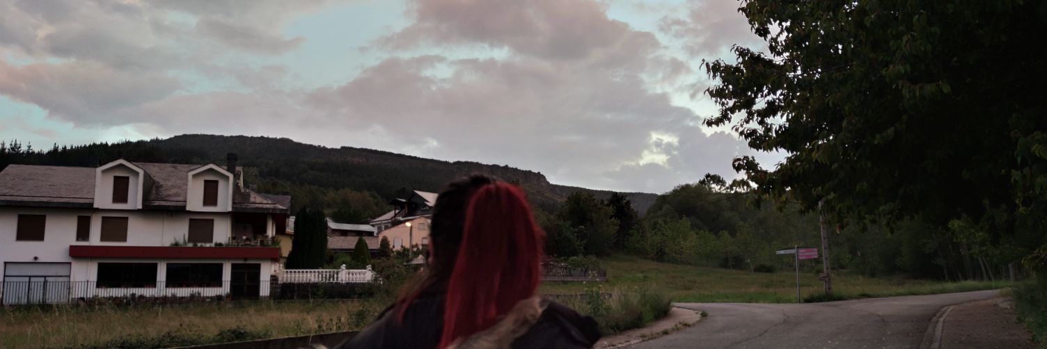 LauritaLS3's profile banner image