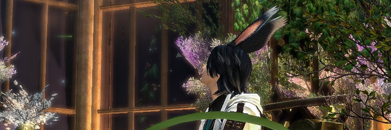 Spring_Whale25's profile banner image
