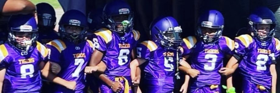 Lemoore Youth Football banner