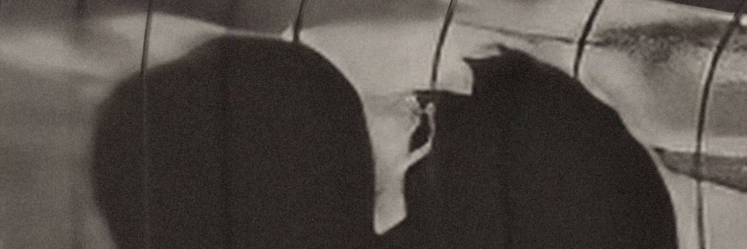 Anphe95's profile banner image