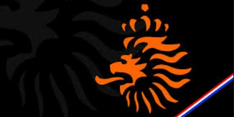 calam81's profile banner image