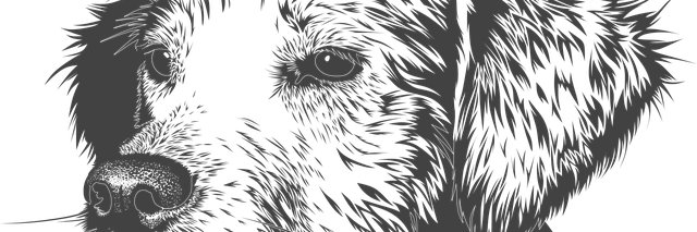 jozedownhill's profile banner image