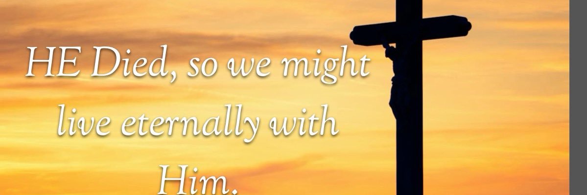 Stephanie Cruse banner