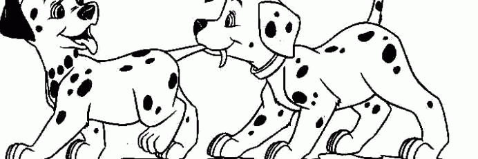 ayudadalmatas's profile banner image