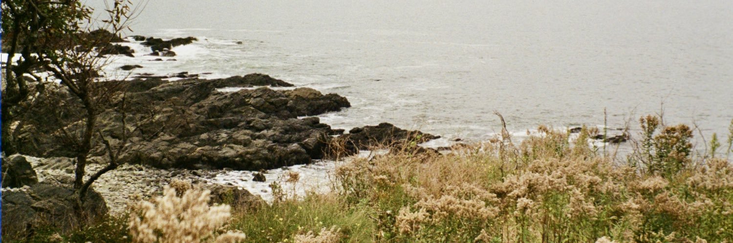 oh hey, it’s that guy again banner