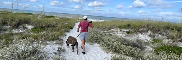 LeanoraMinai Profile Banner