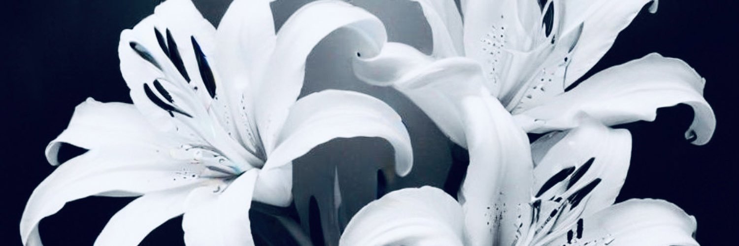 Shana banner