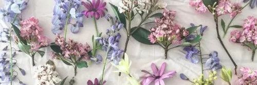 asdfjklang's profile banner image