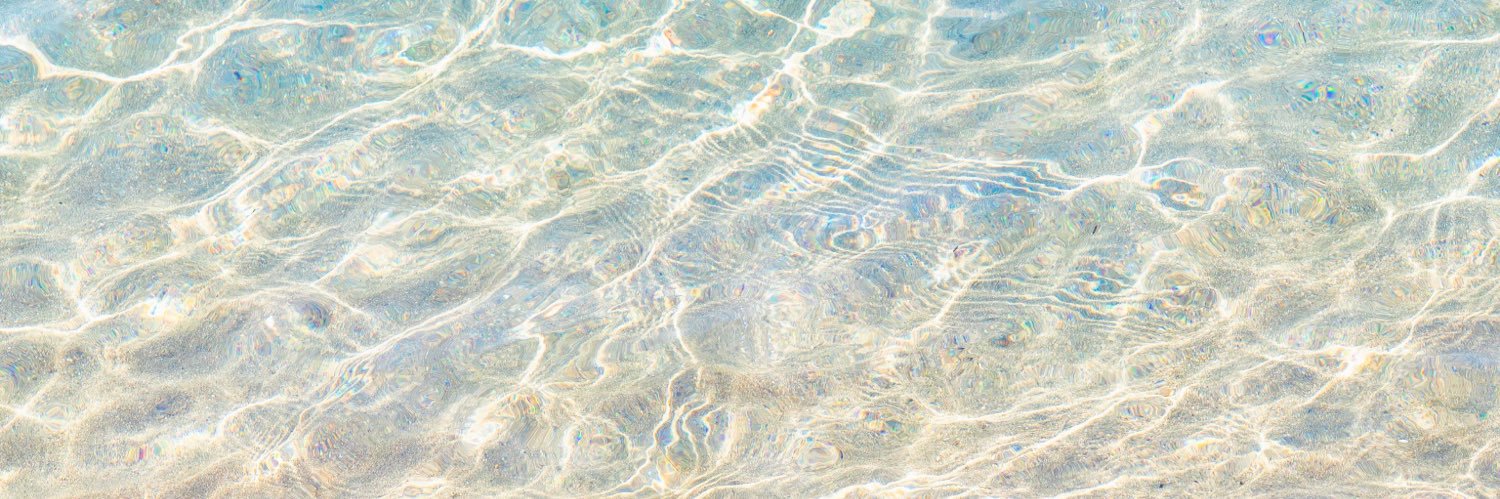 塩えびせん🧂🦐 banner