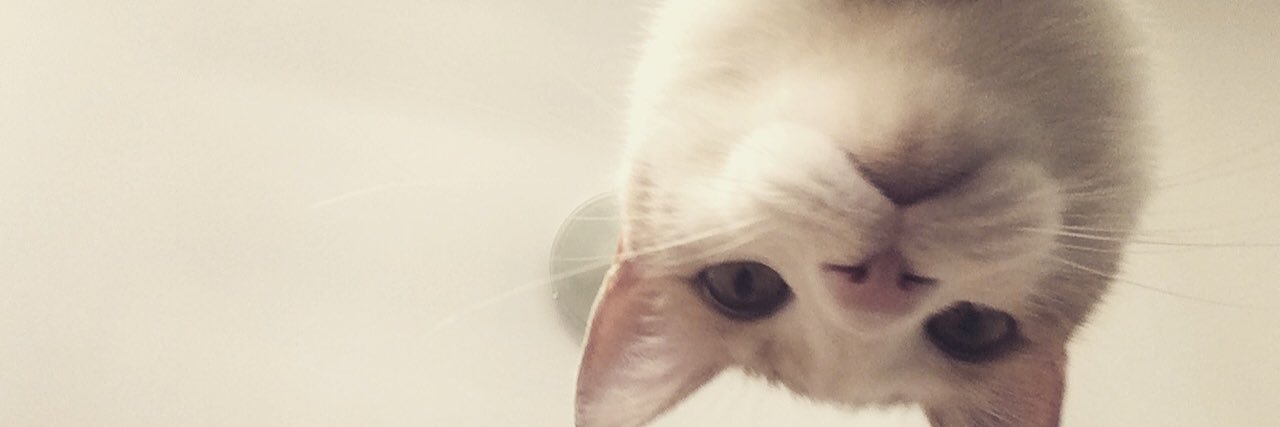 soffiamonge's profile banner image
