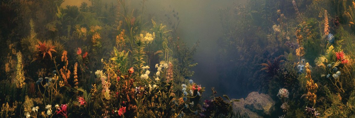 abbyjperry's profile banner image