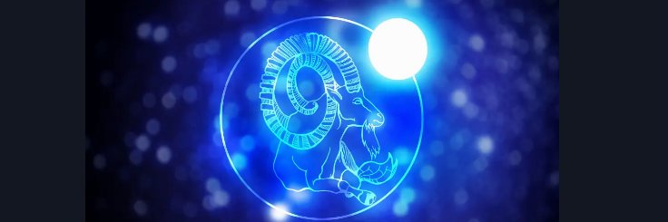 CAPRICORN banner