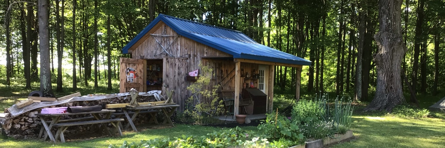 My Primitive Home banner