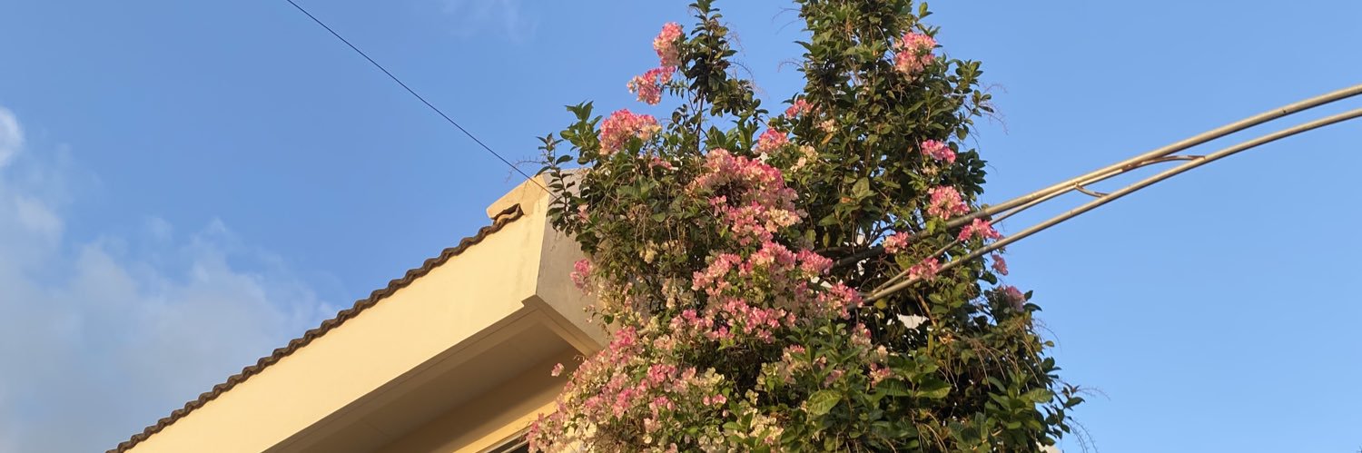 breeze6686's profile banner image