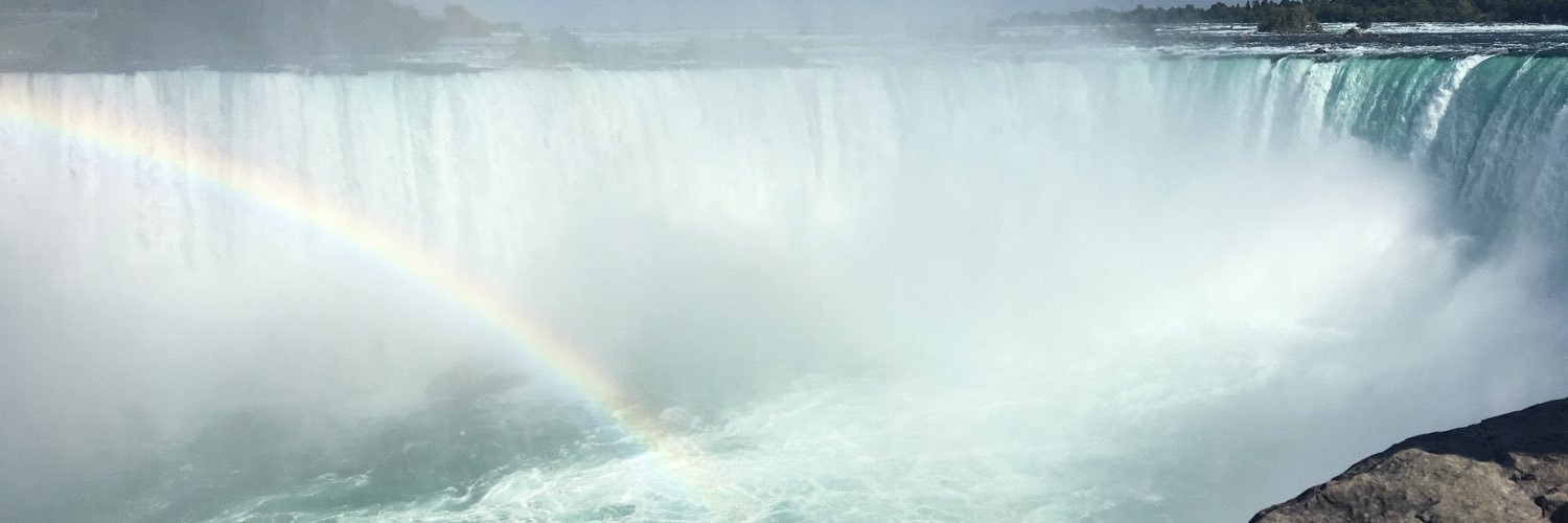 tgoutier's profile banner image