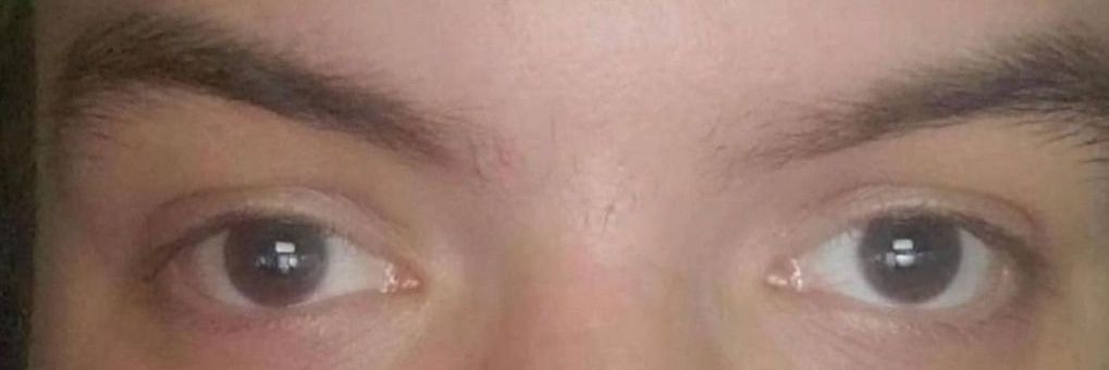 AntIgnorant 🇫🇷 banner