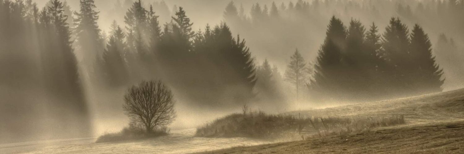 f_. B_'s banner