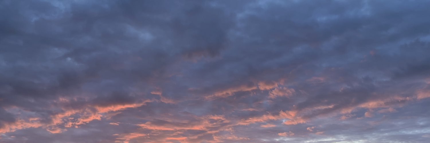 Adam Parrilli banner