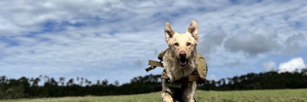 t_yes Profile Banner