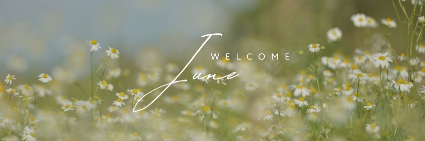 Camail banner