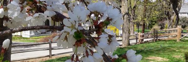 atankanow Profile Banner