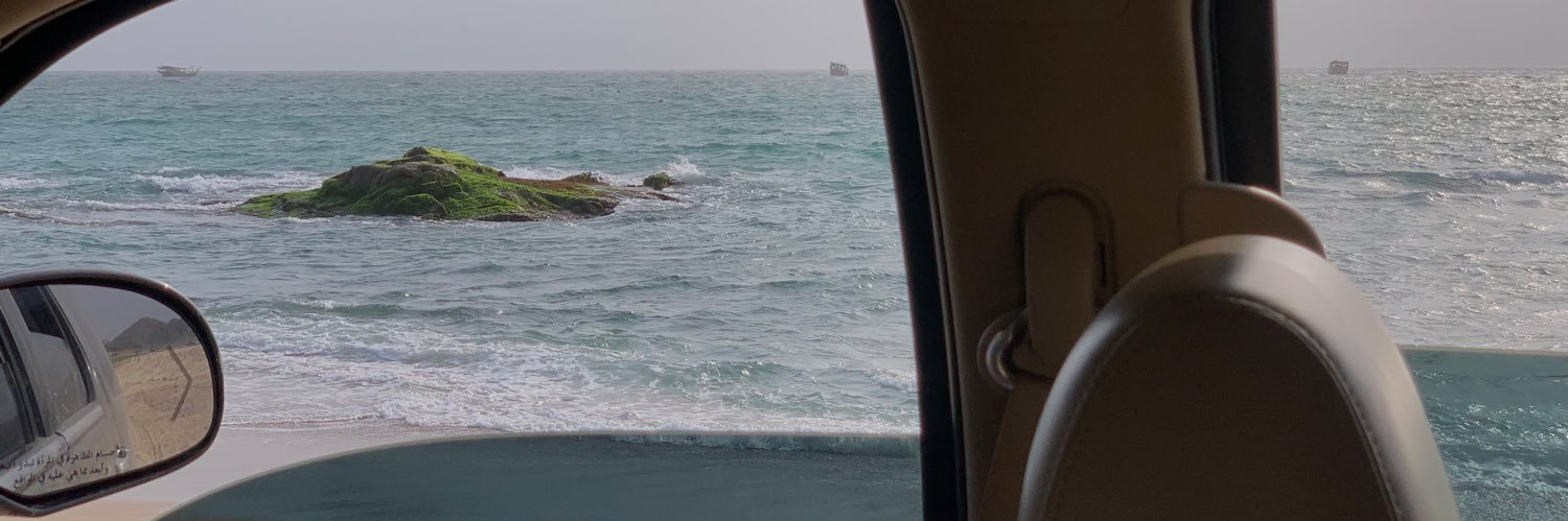 lostliibrary's profile banner image