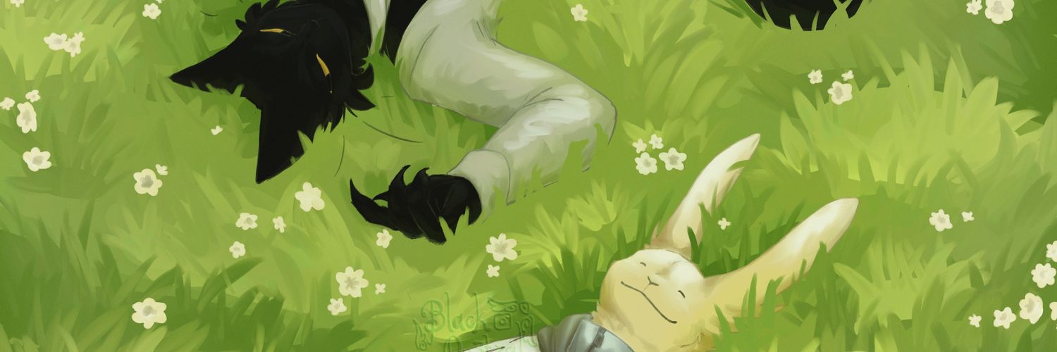 Bl4ki3's profile banner image
