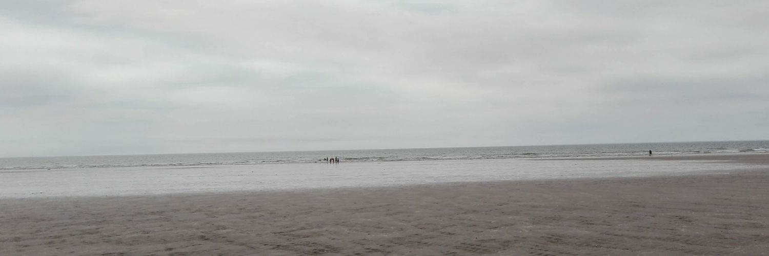 paolanqn's profile banner image
