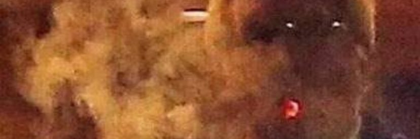 Fener-i Ruya 🥶 banner