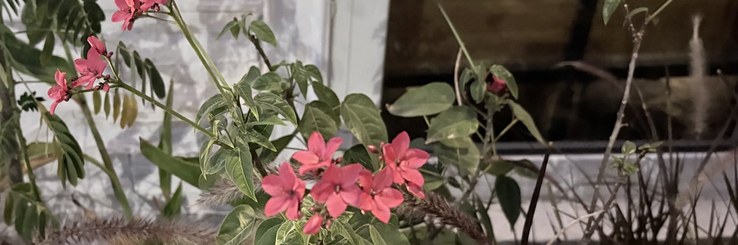 𓄟 banner