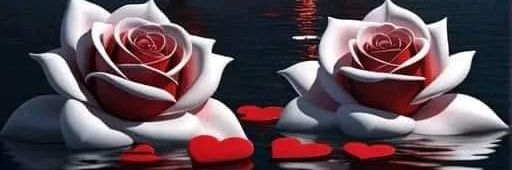 اردنية بنت النشامى🇯🇴🥰🇯🇴 banner