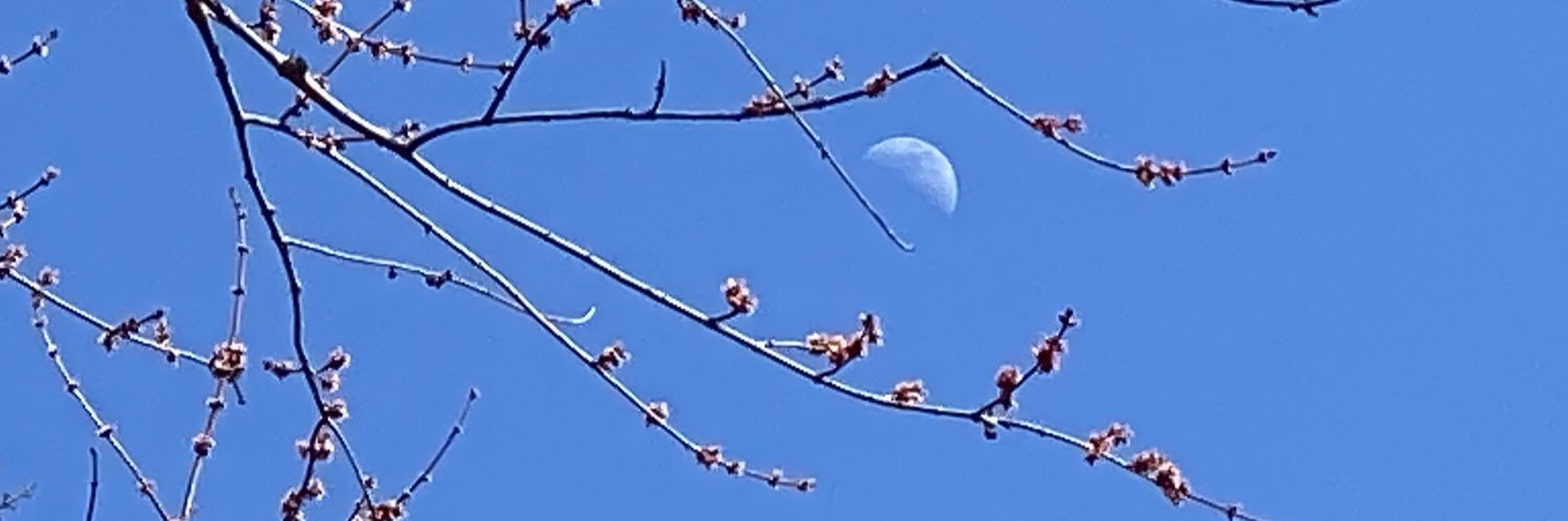 Satya Rhodes-Conway banner