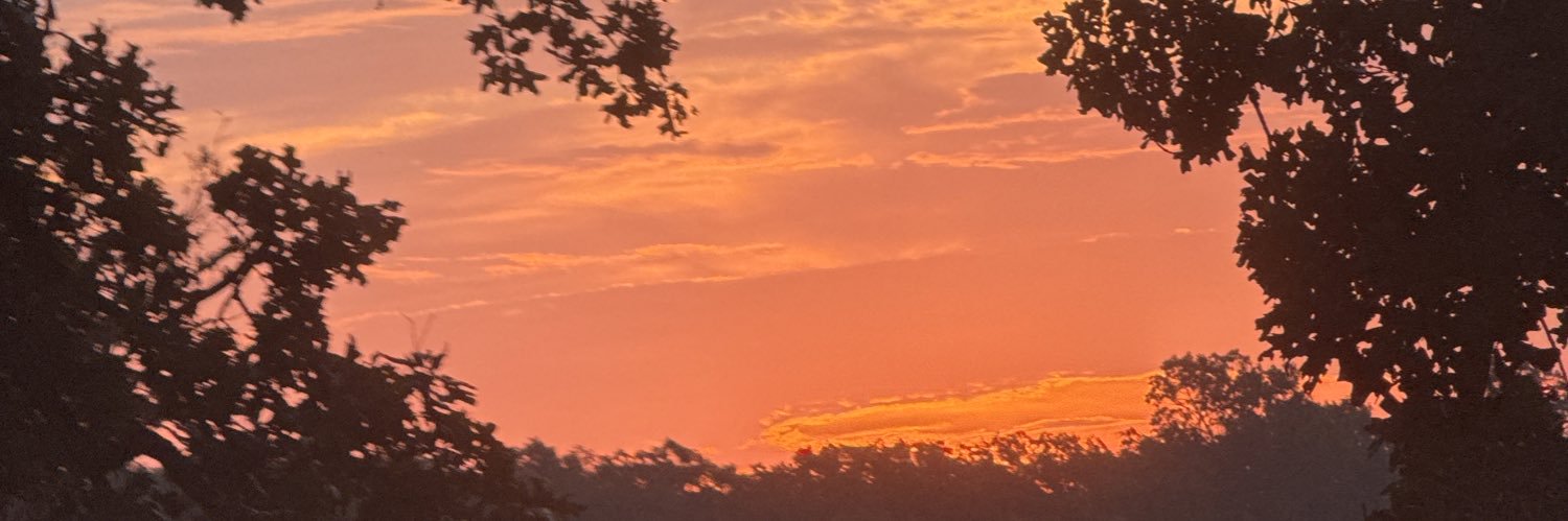 ch3rr0s3's profile banner image