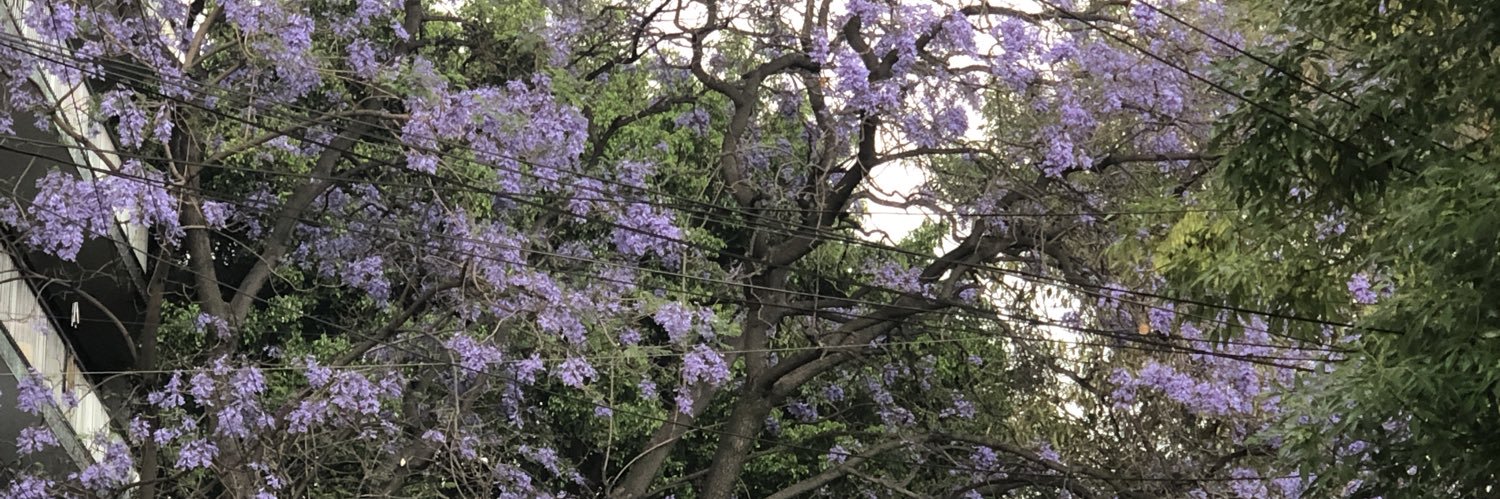 anybarrio's profile banner image