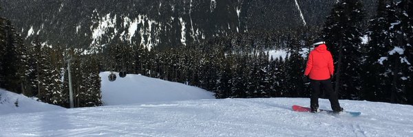 allisonmcneely Profile Banner